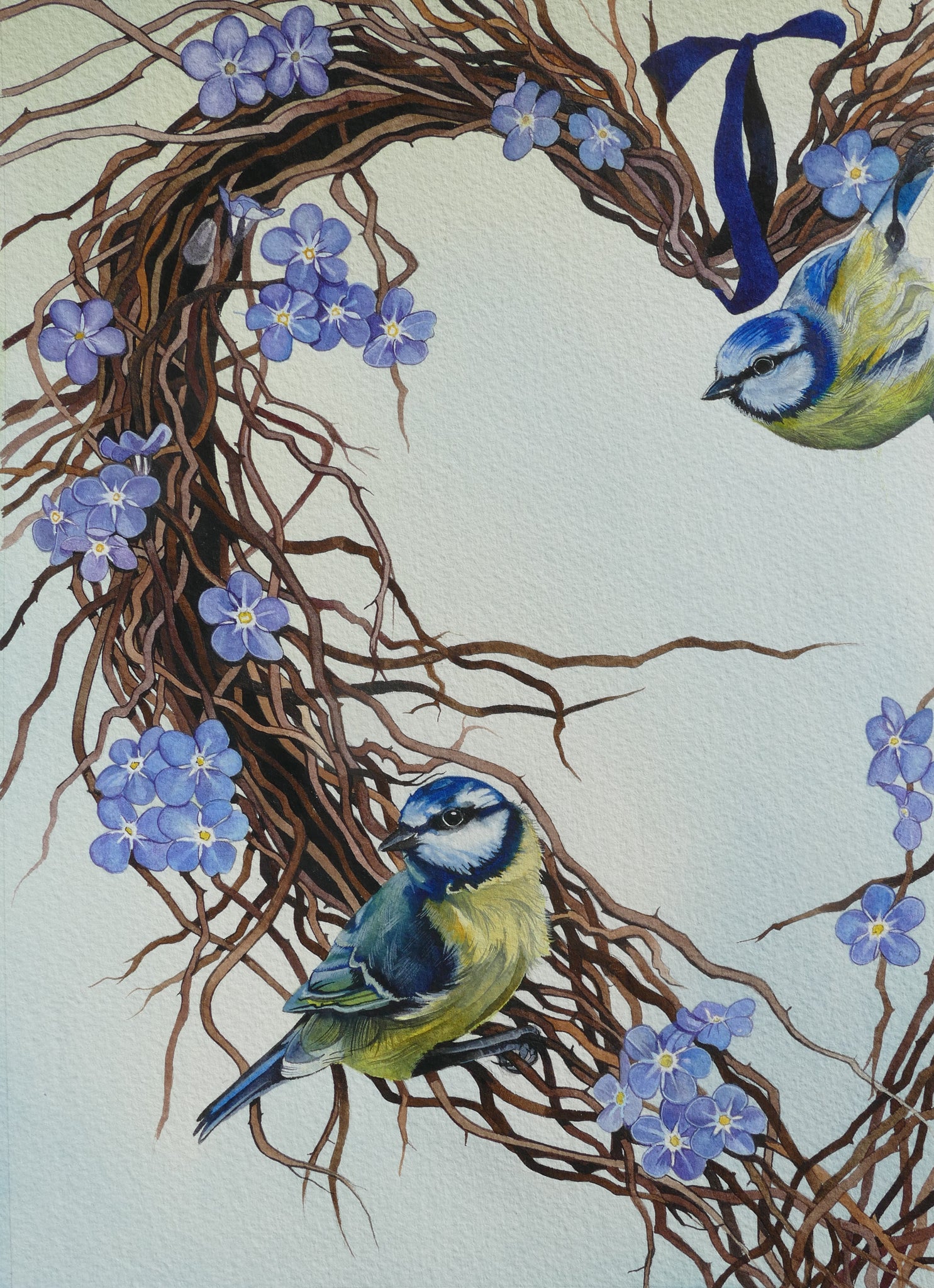 Forget-me-nots