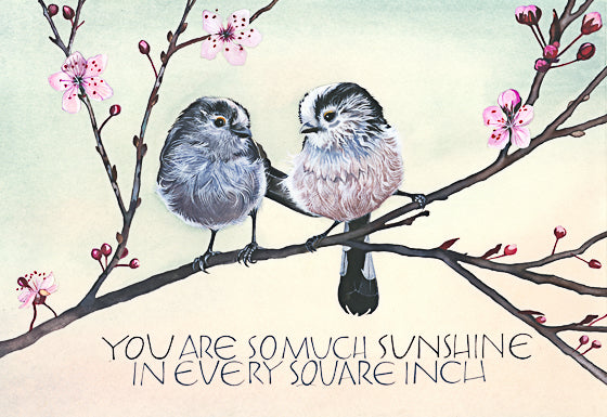 Sam Cannon You are so Much Sunshine Greeting Card with pair of long tailed tits
