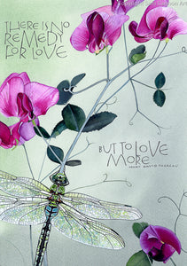 Sam Cannon There is No Remedy for Love Greeting Card with dragonfly
